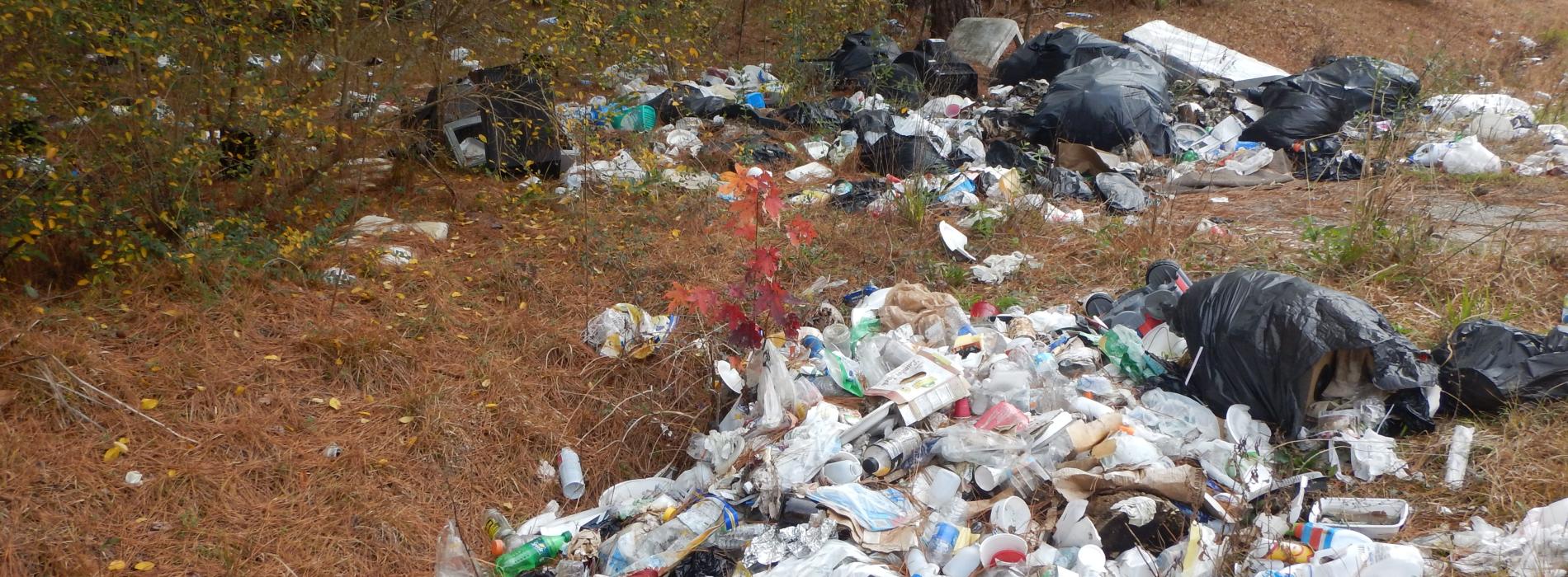 Home SC Litter Commission